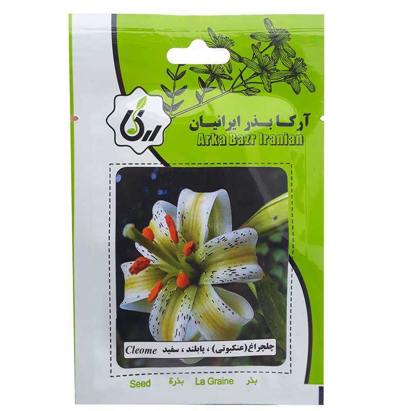 بذر چلچراغ عنکبوتی پابلند سفید آرکا بذر ایرانیان کد A06