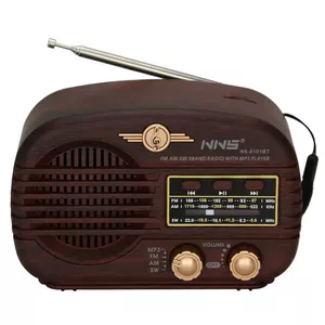 رادیو ان ان اس مدل NS-8101BT