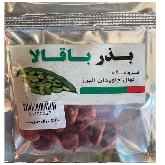 بذر باقالا ریز نهال جاویدان البرز کد 78
