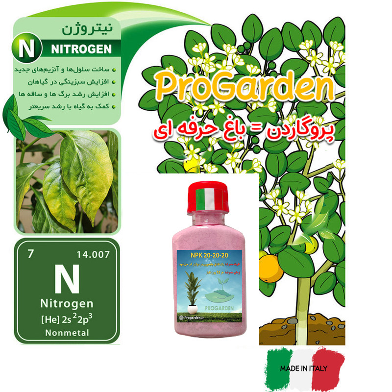 کود کامل گیاهان آپارتمانی سه بیست پروگاردن مدل NPK کد 20-20-20 وزن 60 گرم کود کامل گیاهان آپارتمانی سه بیست پروگاردن مدل NPK کد 20-20-20 وزن 60 گرم