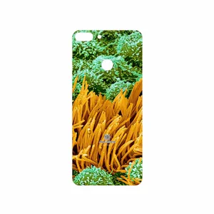 MAHOOT Atom Universe 6 Cover Sticker for Huawei P Smart