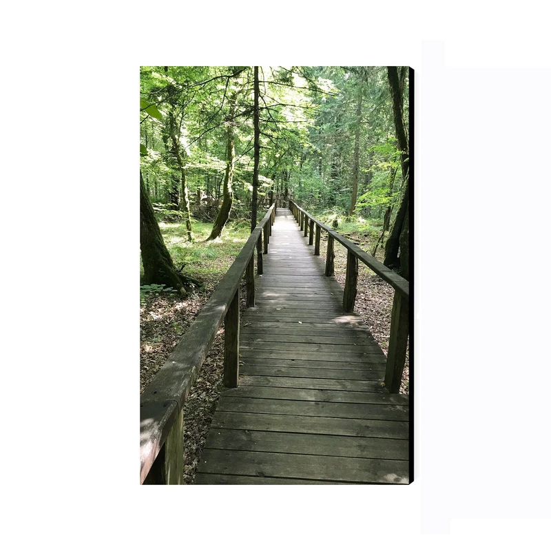 تابلو شاسی عرش طرح گردشگری لهستان مدل پارک ملی بیالوویزا کد As5821