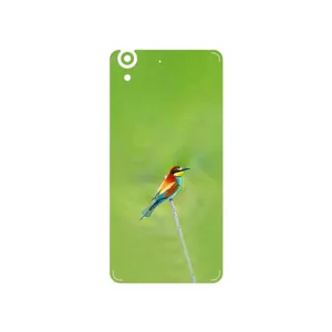 MAHOOT European bee-eater Cover Sticker for Huawei Y6 II