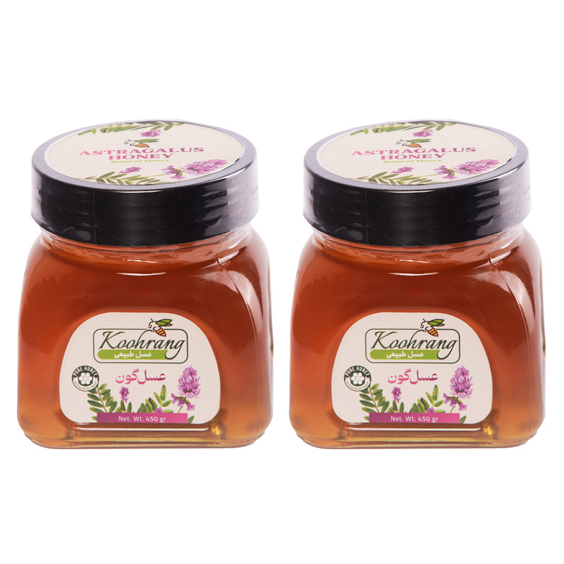 عسل طبیعی گون زاگرس رویال کندو کوهرنگ - 450 گرم بسته 2 عددی