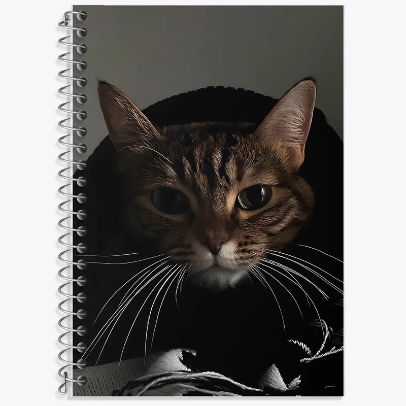 دفتر زبان 50 برگ خندالو مدل سه خط طرح گربه (Cat) کد F1346