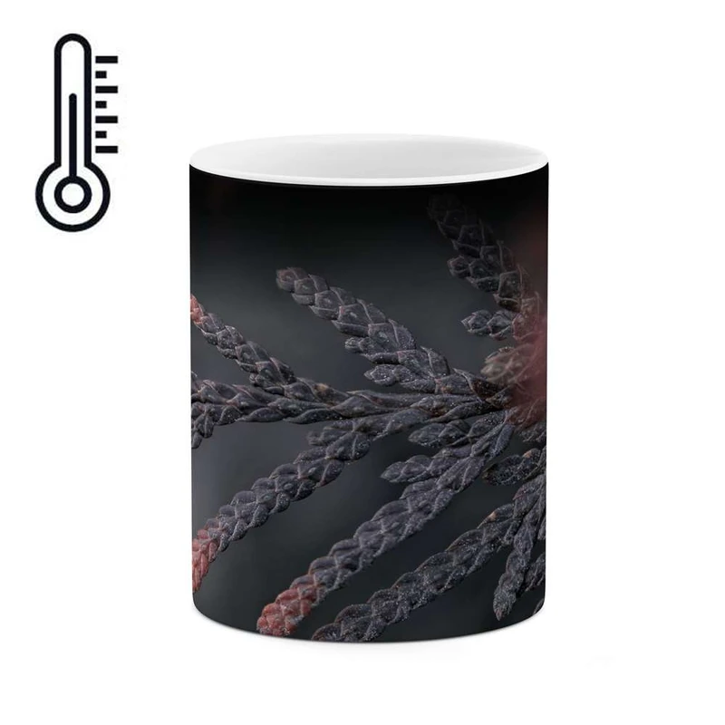 ماگ حرارتی کاکتی مدل فانتزی کد mgh16942