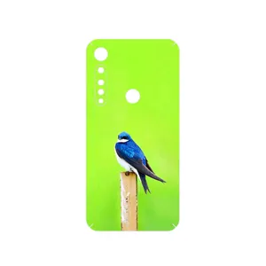 MAHOOT Bird Swallow Cover Sticker for Motorola One Vision Plus