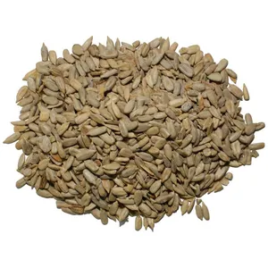 مغز تخمه آفتابگردان خام ممتاز -500 گرم 