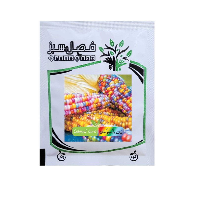 بذر ذرت رنگی فصل سبز کد FSSEED-100g-16