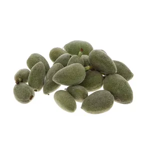 چغاله بادام درجه یک - 750 گرم