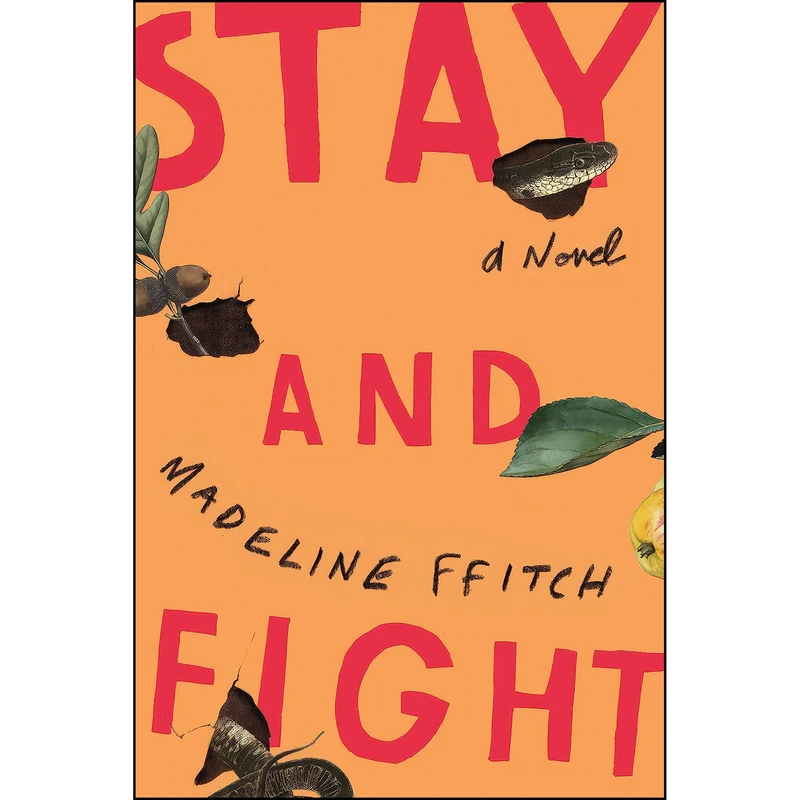 کتاب Stay and Fight اثر Madeline ffitch انتشارات Farrar, Straus and Giroux