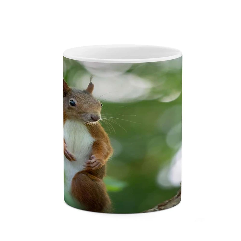 ماگ کاکتی مدل سنجاب کد mgh15710