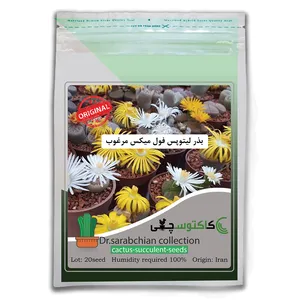 بذر لیتوپس فول میکس مرغوب کاکتوسچی مدل AM-017