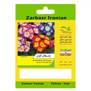 بذر گل پامچال الوان زربذر ایرانیان کد ZBP-72