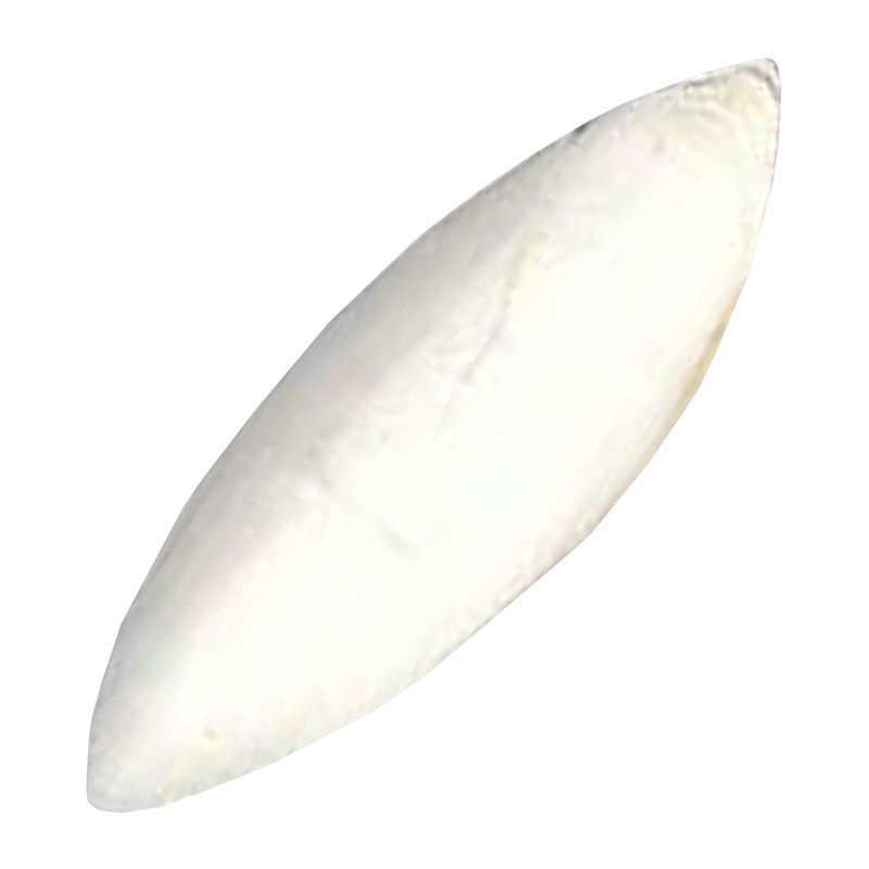 کف دریا کد M136 وزن 70 گرم