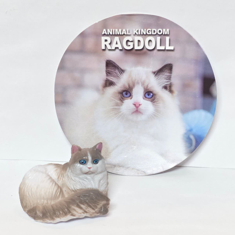 فیگور ناب سل مدل گربه رگدال کد RAGDOLL NAAB022 ارتفاع 3 سانتی متر