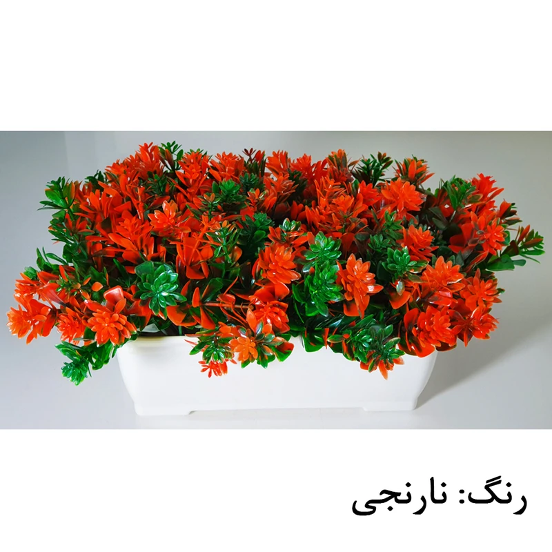 عکس شماره 5