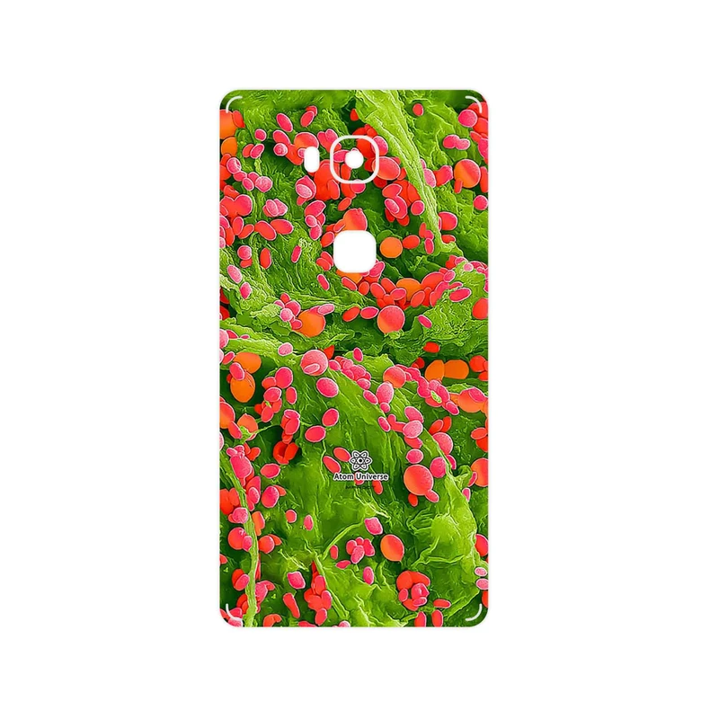 برچسب پوششی ماهوت مدل Atom Universe 3 مناسب برای گوشی موبایل آنر 5X