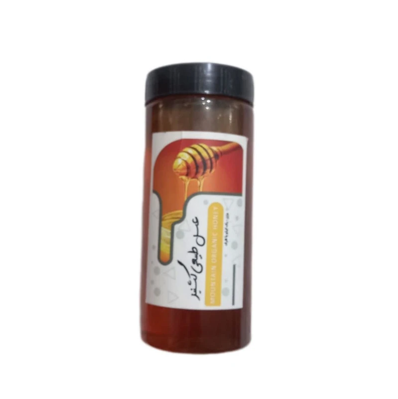 عسل گشنیز نگین دانه - 1 کیلوگرم