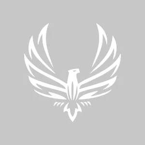 برچسب بدنه خودرو آداک طرح عقاب کبوتری کد Egls011