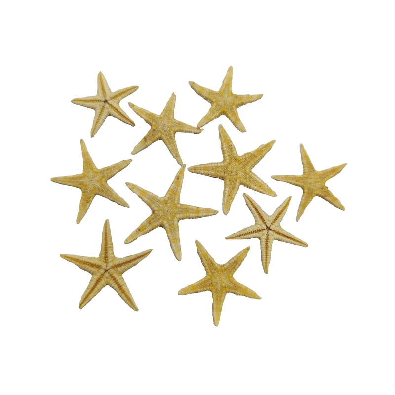 ستاره دریایی تزیینی مدل star01 مجموعه 10 عددی