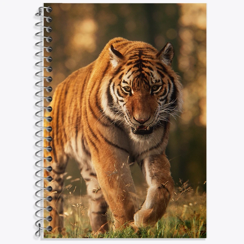 دفتر زبان 50 برگ خندالو مدل دو خط طرح ببر کد F586