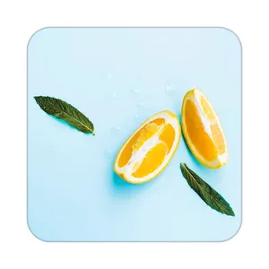 زیر لیوانی کاکتی طرح میوه مدل mp22081