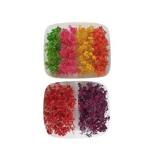 گل خشک مدل اپوکسی 800 مجموعه 2 عددی