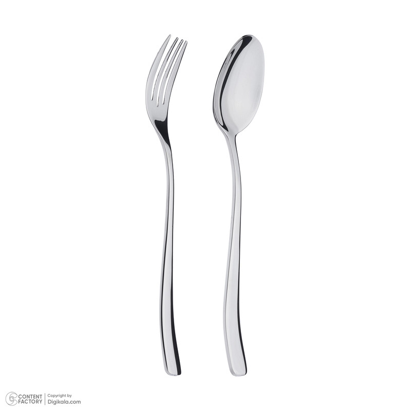 سرویس قاشق و چنگال 12 پارچه ام جی اس مدل DF043-M