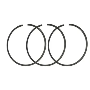 رینگ موتور ماهله مدل استاندارد کد A0440740 مناسب برای پژو 405 XU7 بسته 20 عددی