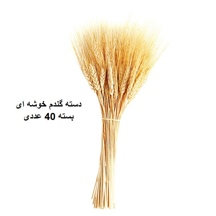 دسته گل خشک مدل خوشه گندم کد 40