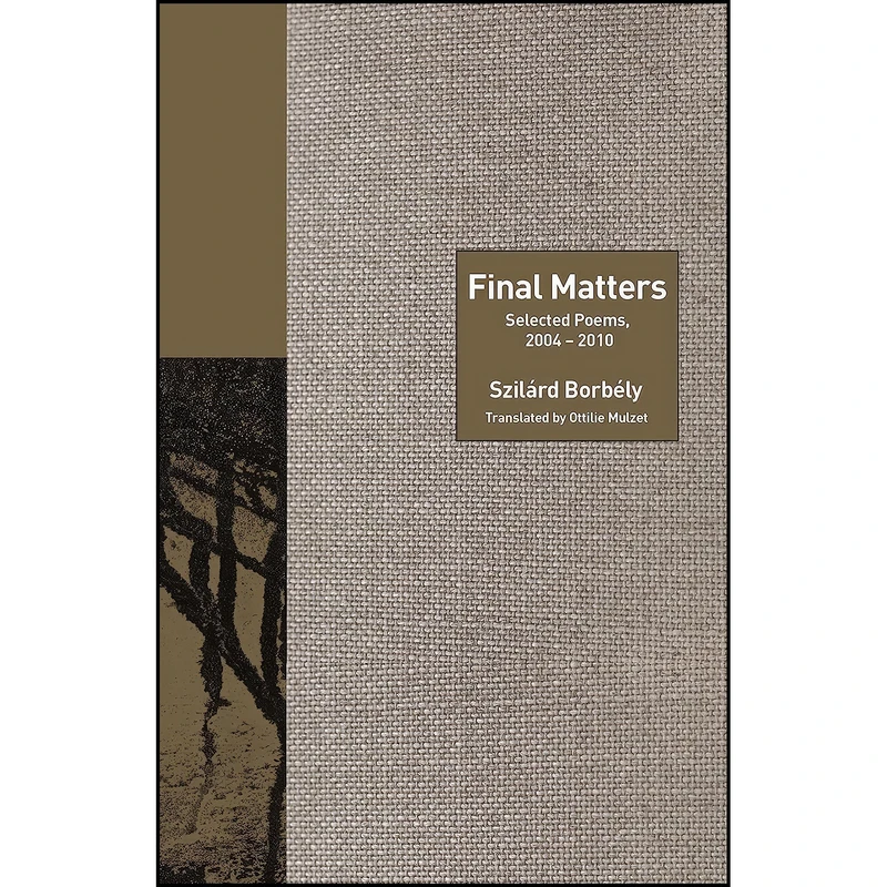 کتاب Final Matters اثر جمعي از نويسندگان انتشارات Princeton University Press