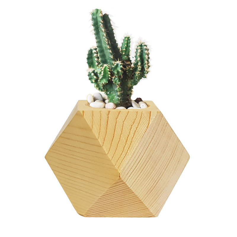 گلدان کاکتوس مدل Z303