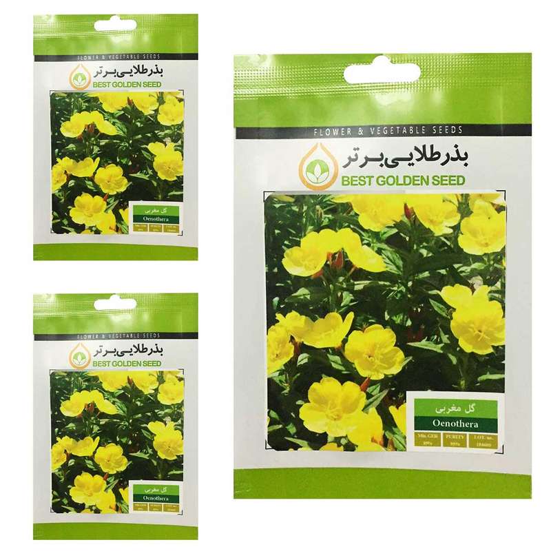 بذر گل مغربی  بذر طلایی برتر کد BTB-35 مجموعه 3 عددی