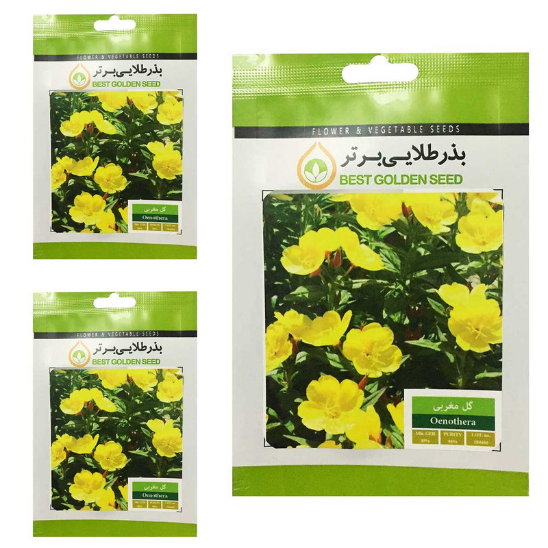 بذر گل مغربی  بذر طلایی برتر کد BTB-35 مجموعه 3 عددی