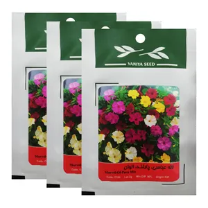 بذر گل لاله عباسی پابلند الوان وانیا سید کد O154 مجموعه 3 عددی