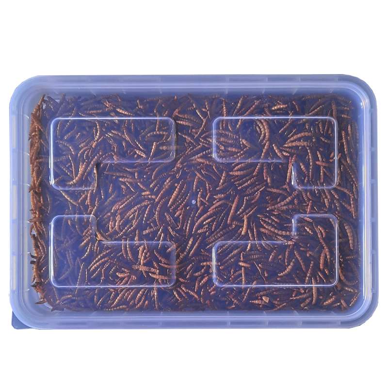 غذای خشک پرندگان مدل میلورم وزن 300 گرم