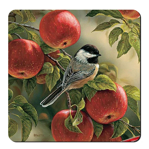 زیر لیوانی طرح پرنده و شاخه های سیب کد nzl518