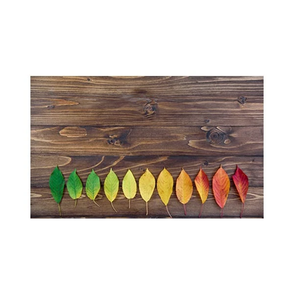   پادری مدل گل و طبیعت کد M35M001-MF0088 سایز 76x46 سانتی متر