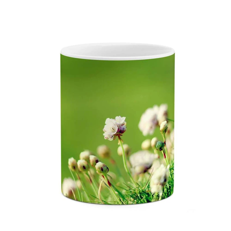 ماگ کاکتی مدل گل کد mgh12045