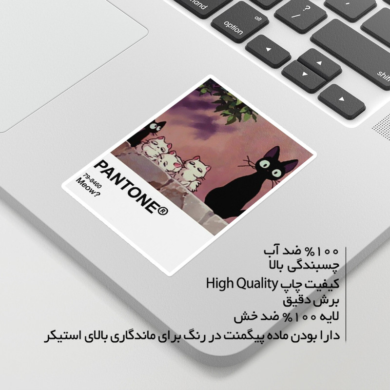استیکر لپ تاپ ماسا دیزاین طرح انیمه مدل STK1466