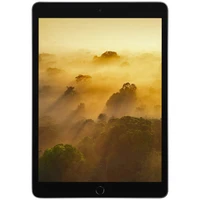 تبلت اپل مدل iPad (9th Generation) 10.2-Inch Wi-Fi 2021 ظرفیت 256 گیگابایت 