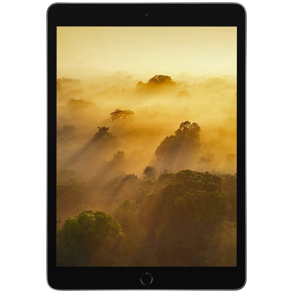 تبلت اپل مدل iPad (9th Generation) 10.2-Inch Wi-Fi 2021 ظرفیت 256 گیگابایت 