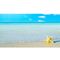 آنباکس تابلو شاسی مدل دریا و ساحل و ستاره دریایی و آسمان و صدف T7606 در تاریخ ۲۵ مهر ۱۴۰۱