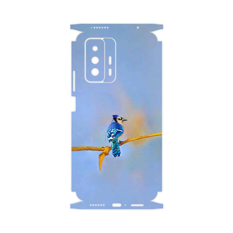 برچسب پوششی ماهوت مدل Cyanocitta cristata-FullSkin مناسب برای گوشی موبایل شیائومی 11T 5G