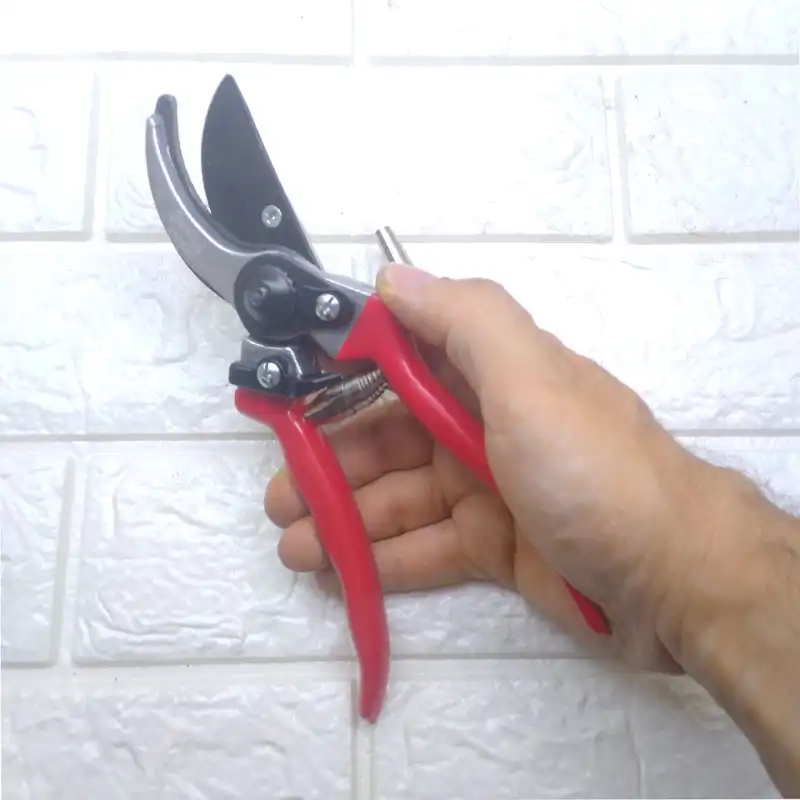 قیچی باغبانی ساوورایی مدل No.KS-4T