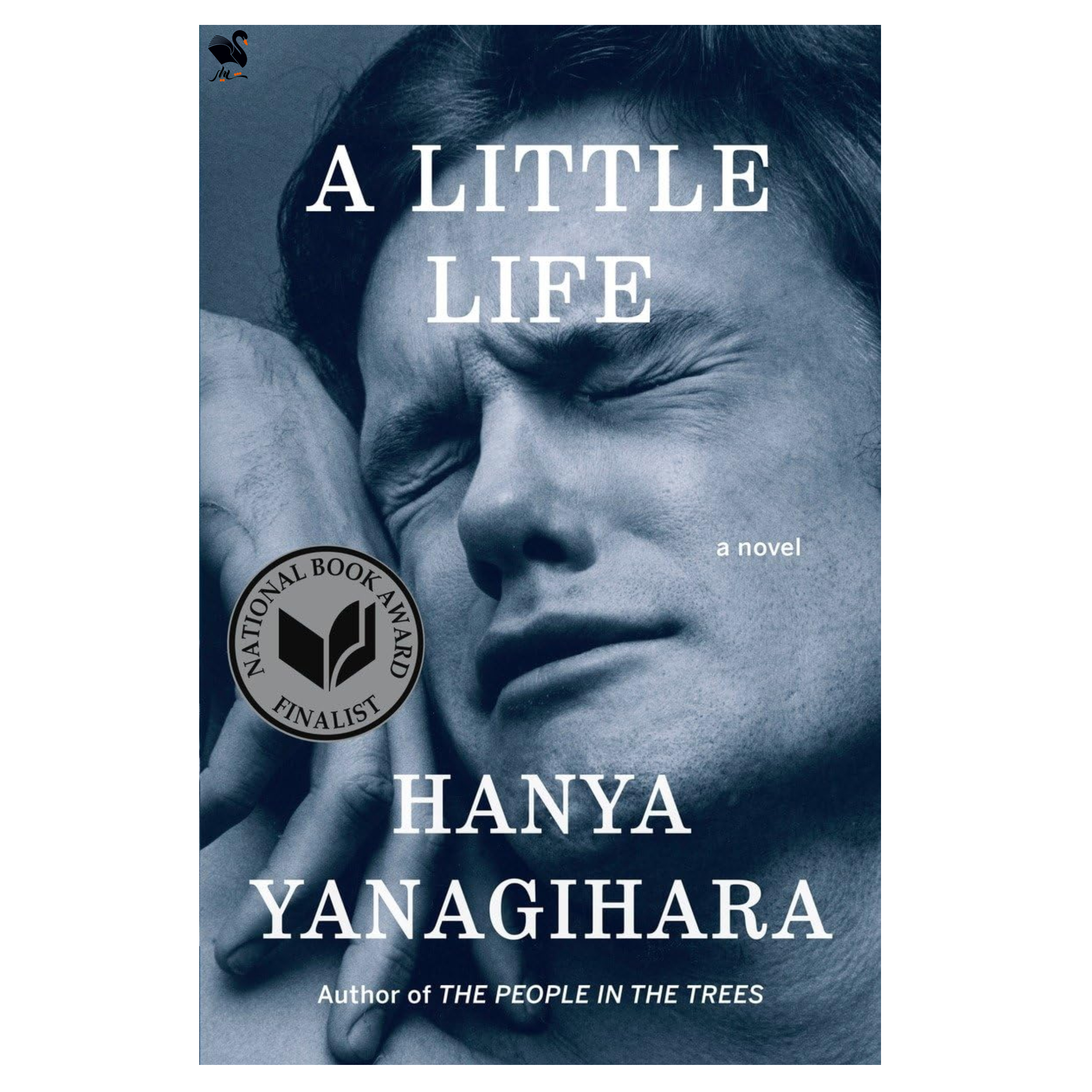 کتاب A Little Life اثر Hanya Yanagihara انتشارات شیلر