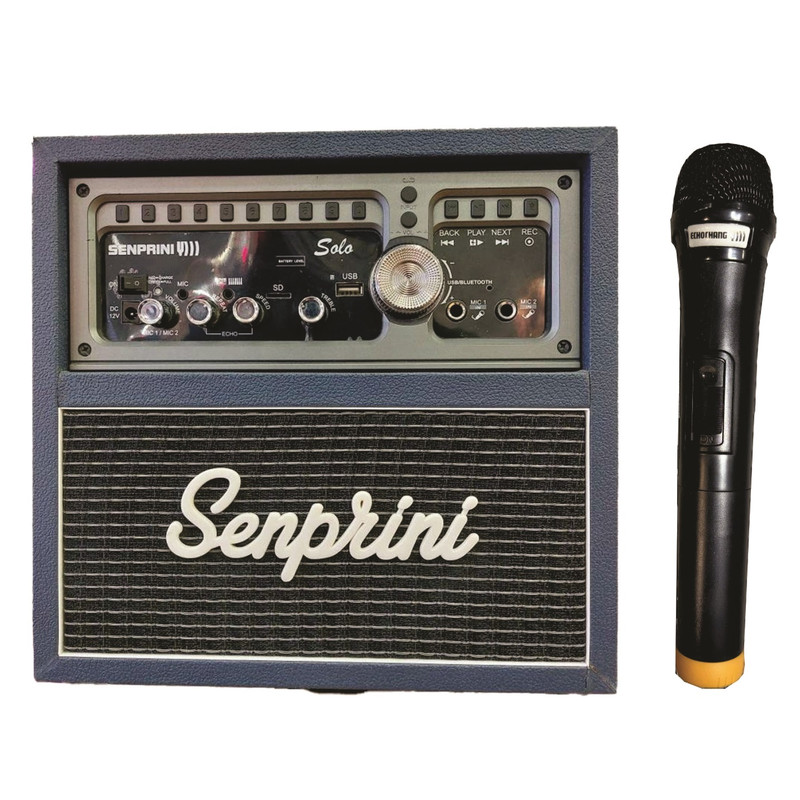 اکو همراه اکو چنگ مدل SOLO به همراه میکروفن بی سیم