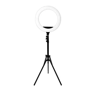 Ring Light Sierra 488