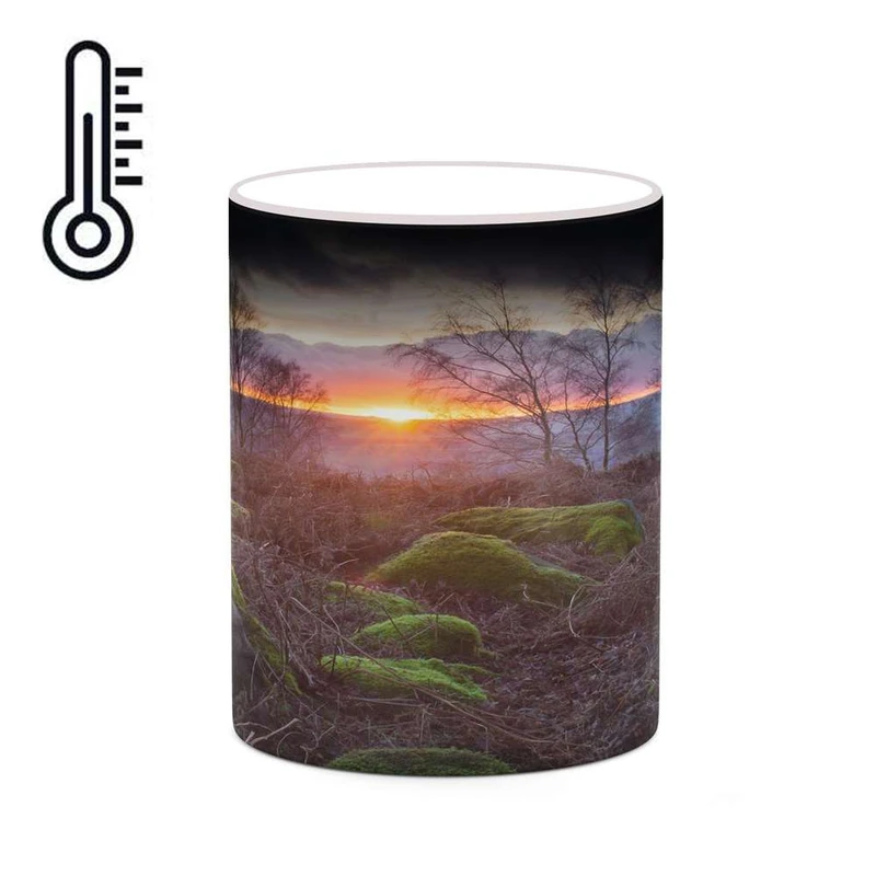 ماگ حرارتی کاکتی مدل منظره پاییزی کد mgh18541